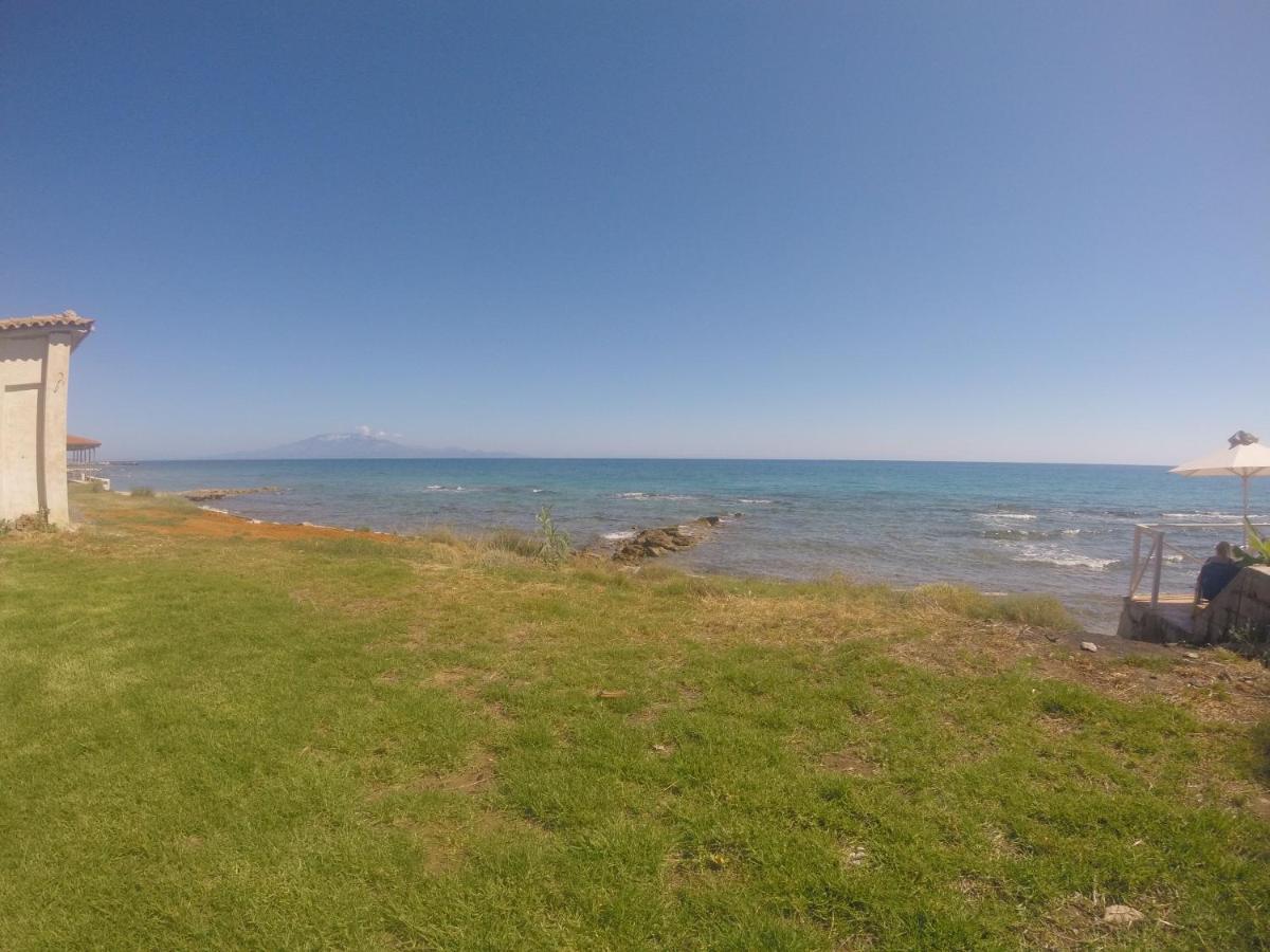 Kimiro Drosia Zante Bed and Breakfast Psarou  Buitenkant foto